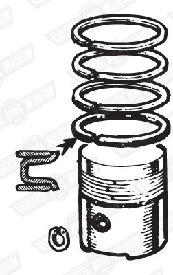 USE: P20773STD
