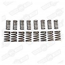 VALVE SPRING SET- DOUBLE, 160lb 7,000 RPM COOPER 'S'