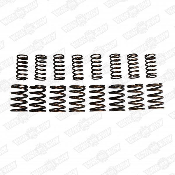 VALVE SPRING SET- DOUBLE, 160lb 7,000 RPM COOPER 'S'