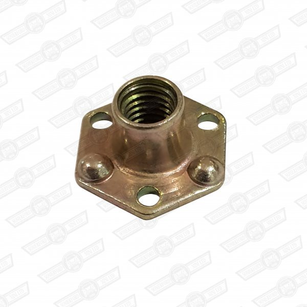 T NUT-MALE