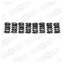 VALVE SPRING SET-DOUBLE, 200lb UP TO 8,000 rpm FAST ROAD USE