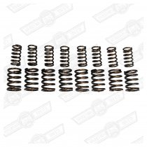 VALVE SPRING SET-DOUBLE, 280lb 8,000 RPM PLUS RACE USE