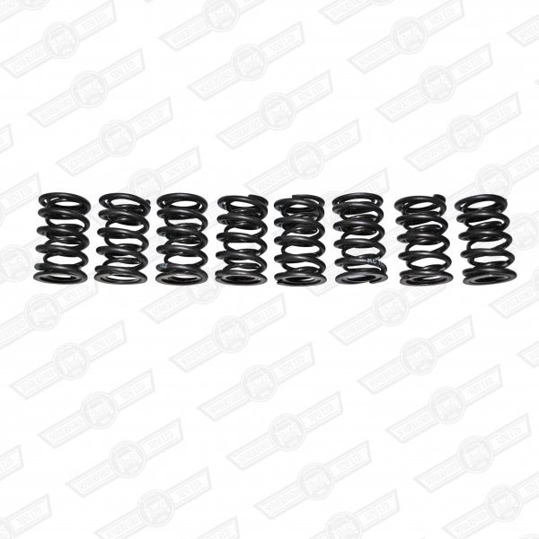 VALVE SPRING SET-DOUBLE, 200lb UP TO 8,000 rpm FAST ROAD USE
